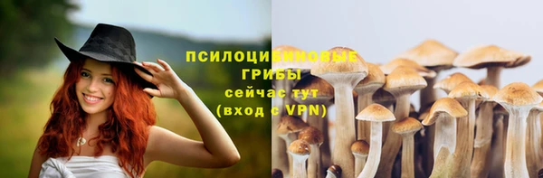 мет Магас
