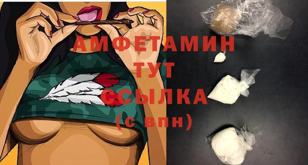 дмт Инта