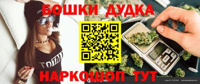 МДПВ Можга
