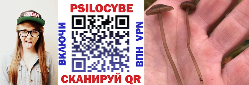 купить  сайты  Воронеж  Псилоцибиновые грибы MAGIC MUSHROOMS 