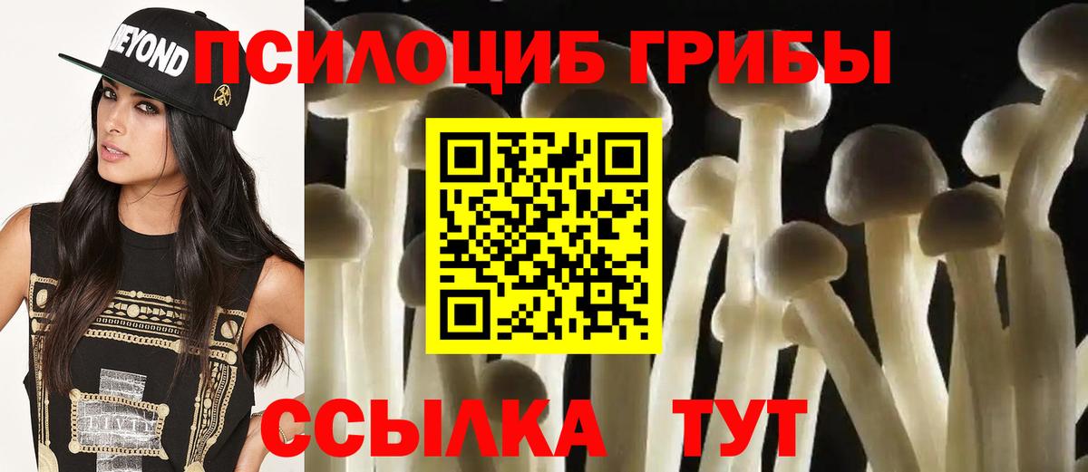 Псилоцибиновые грибы Psilocybine cubensis Воронеж