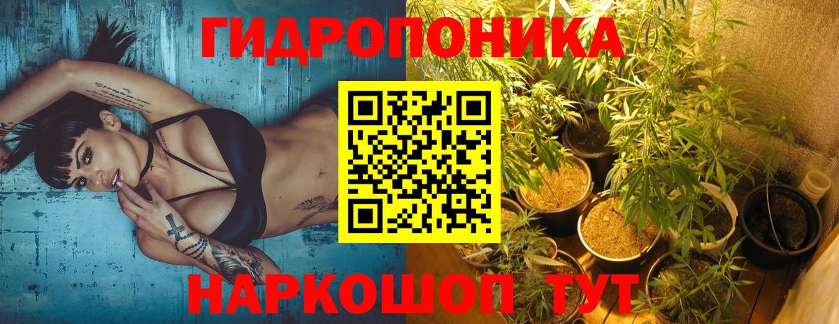 Воронеж  Марихуана планчик  Вход с VPN  Конопля индика  Шишки марихуана марихуана 
